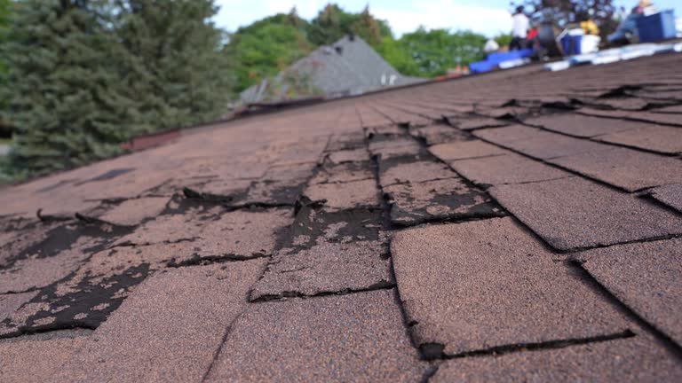 Best Gutter Installation and Repair  in Valley Falls, KS